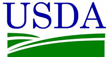 USDA LOANS